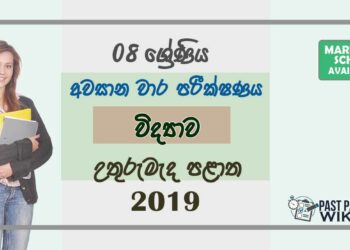 Grade 08 Science 3rd Term Test Paper With Answers 2019 Sinhala Medium - North Central Province
