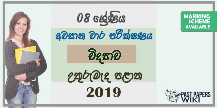 Grade 08 Science 3rd Term Test Paper With Answers 2019 Sinhala Medium - North Central Province