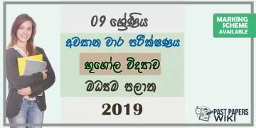 Grade 09 Geography 3rd Term Test Paper With Answers 2019 Sinhala Medium - Central Province