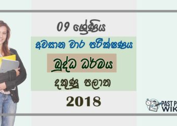 Grade 09 Buddhism 3rd Term Test Paper 2018 Sinhala Medium - Southern Province