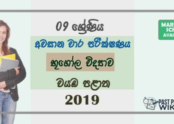 Grade 09 Geography 3rd Term Test Paper With Answers 2019 Sinhala Medium - North western Province
