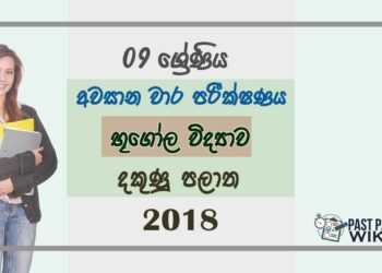 Grade 09 Geography 3rd Term Test Paper 2018 Sinhala Medium - Southern Province