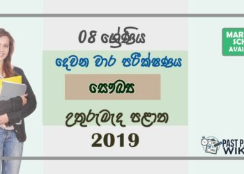 Grade 08 Health And Physical Education 2nd Term Test Paper With Answers 2019 Sinhala Medium - North Central Province
