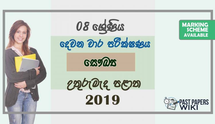 Grade 08 Health And Physical Education 2nd Term Test Paper With Answers 2019 Sinhala Medium - North Central Province