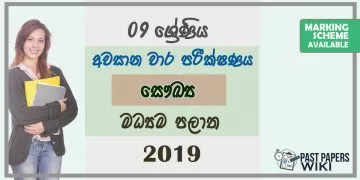Grade 09 Health And Physical Education 3rd Term Test Paper With Answers 2019 Sinhala Medium - Central Province