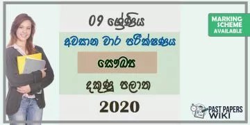 Grade 09 Health And Physical Education 3rd Term Test Paper With Answers 2020 Sinhala Medium - Southern Province