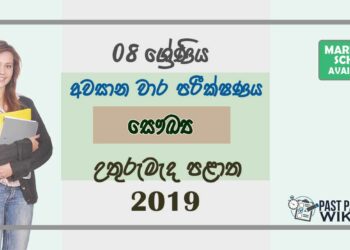 Grade 08 Health And Physical Education 3rd Term Test Paper With Answers 2019 Sinhala Medium - North Central Province