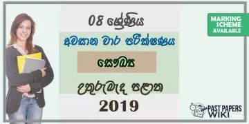 Grade 08 Health And Physical Education 3rd Term Test Paper With Answers 2019 Sinhala Medium - North Central Province
