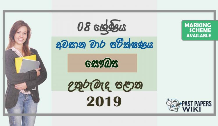 Grade 08 Health And Physical Education 3rd Term Test Paper With Answers 2019 Sinhala Medium - North Central Province