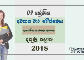 Grade 09 Practical And Technical Skill 3rd Term Test Paper 2018 Sinhala Medium - Southern Province