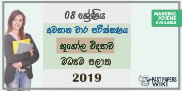 Grade 08 Geography 3rd Term Test Paper With Answers 2019 Sinhala Medium - Central Province