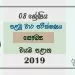 Grade 08 Health And Physical Education 1st Term Test Paper With Answers 2019 Sinhala Medium - North western Province