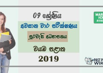 Grade 09 Civics Education 3rd Term Test Paper With Answers 2019 Sinhala Medium - North Western Province