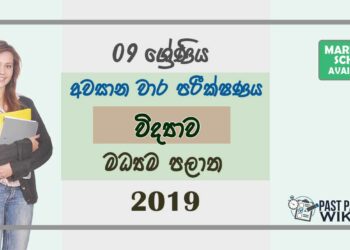 Grade 09 Science 3rd Term Test Paper With Answers 2019 Sinhala Medium - Central Province