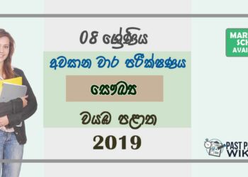 Grade 08 Health And Physical Education 3rd Term Test Paper With Answers 2019 Sinhala Medium - North western Province