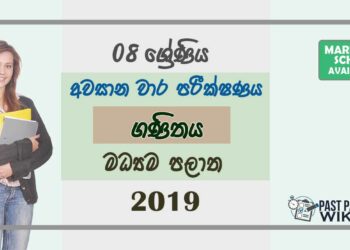 Grade 08 Mathematics 3rd Term Test Paper With Answers 2019 Sinhala Medium - Central Province