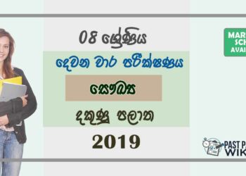 Grade 08 Health And Physical Education 2nd Term Test Paper With Answers 2019 Sinhala Medium - Southern Province