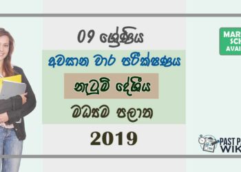 Grade 09 Dancing 3rd Term Test Paper With Answers 2019 Sinhala Medium - Central Province