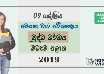 Grade 09 Buddhism 3rd Term Test Paper With Answers 2019 Sinhala Medium - Central Province