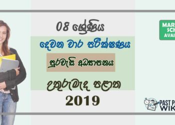 Grade 08 Civic Education 2nd Term Test Paper With Answers 2019 Sinhala Medium - North Central Province