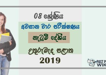 Grade 08 Dancing 3rd Term Test Paper 2019 Sinhala Medium - North Central Province