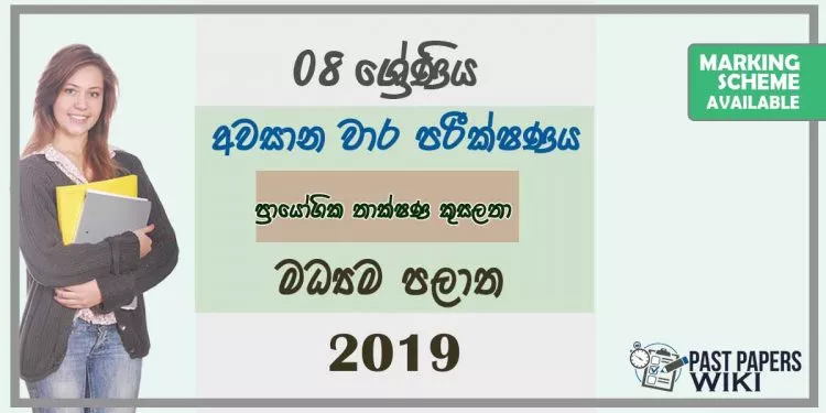 Grade 08 Practical And Technical Studies 3rd Term Test Paper With Answers 2019 Sinhala Medium - Central Province