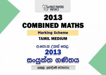 2013 A/L Combined Maths Marking Scheme | Tamil Medium