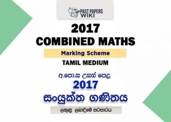 2017 A/L Combined Maths Marking Scheme | Tamil Medium