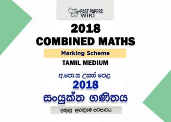 2018 A/L Combined Maths Marking Scheme | Tamil Medium