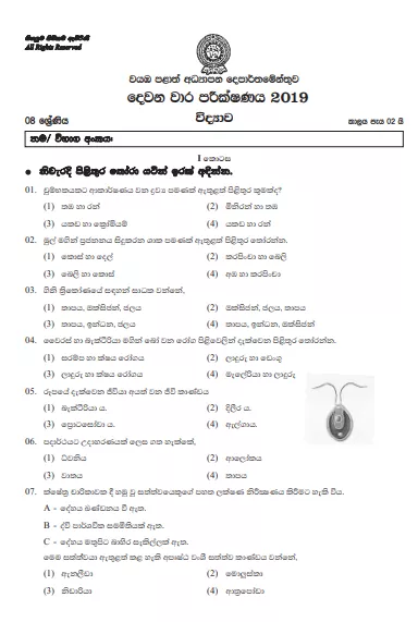 Grade 08 Science 2nd Term Test Paper With Answers 2019 Sinhala Medium - North western Province