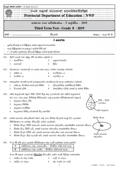 Grade 08 Science 3rd Term Test Paper With Answers 2019 Sinhala Medium - North western Province