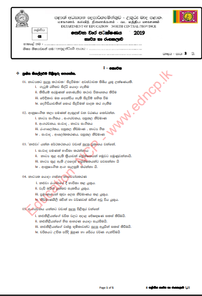 Grade 08 Drama 3rd Term Test Paper 2019 Sinhala Medium - North Central Province