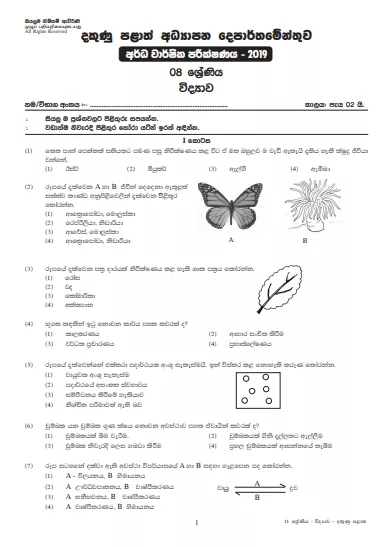 Grade 08 Science 2nd Term Test Paper With Answers 2019 Sinhala Medium - Southern Province