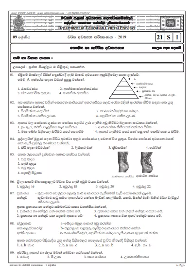 Grade 09 Health And Physical Education 3rd Term Test Paper With Answers 2019 Sinhala Medium - Central Province