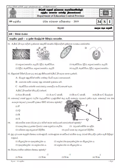 Grade 09 Science 3rd Term Test Paper With Answers 2019 Sinhala Medium - Central Province