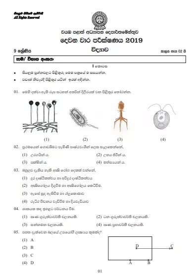 Grade 09 Science 2nd Term Test Paper With Answers 2019 Sinhala Medium - North western Province
