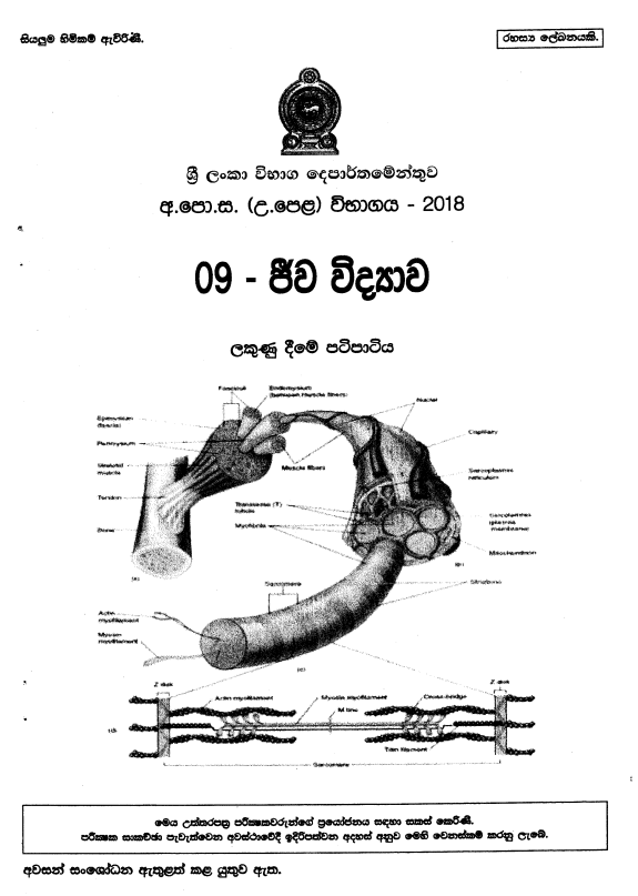 Official G.C.E. 2018 A/L Biology Answer Sheet Sinhala Medium PDF