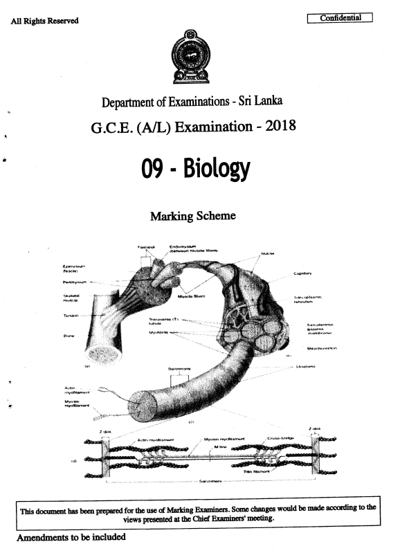Official G.C.E. 2018 A/L Biology Answer Sheet English Medium PDF