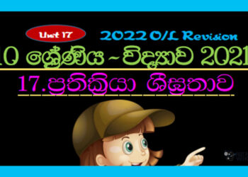 Grade 10 Science Unit 17 | Rate of Reactions
