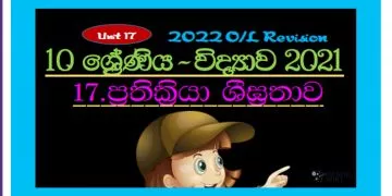 Grade 10 Science Unit 17 | Rate of Reactions