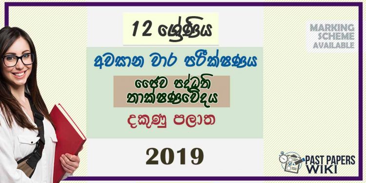 Grade 12 Bio Systems Technology 3rd Term Test Paper 2019 | Southern Province