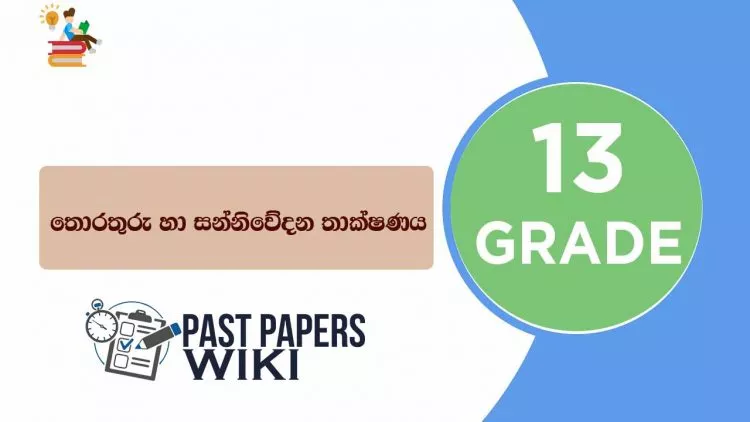 Grade 13 ICT - Term Test Papers, Short notes & Resource Books