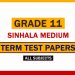 Grade 11 Sinhala Medium Term Test Papers - Past Papers WiKi
