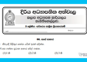 Grade 03 Environment | Diriya Asyapanika Athwela