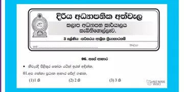 Grade 03 Environment | Diriya Asyapanika Athwela
