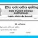 Grade 03 Environment | Diriya Asyapanika Athwela
