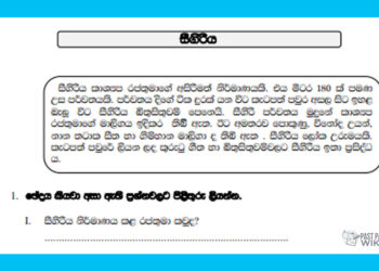 Grade 03 Environment | Model paper