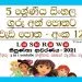 Grade 05 Sinhala | Workbook No 12