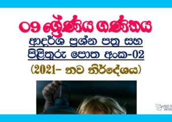 Grade 09 Mathematics | Model Paper Book No 02