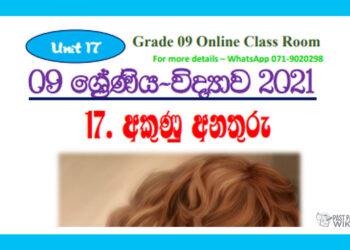 Grade 09 Science Unit 17 | LIGHTNING ACCIDENTS